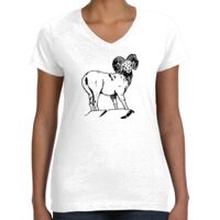 Women's Fine Jersey V-Neck Tee Thumbnail