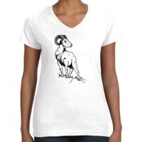 Women's Fine Jersey V-Neck Tee Thumbnail