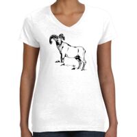 Women's Fine Jersey V-Neck Tee Thumbnail