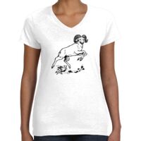 Women's Fine Jersey V-Neck Tee Thumbnail